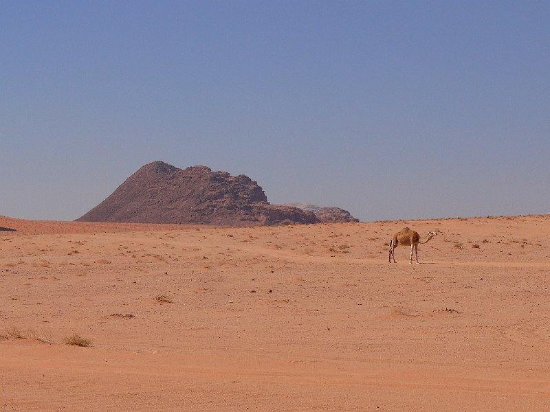 Wadi Rum (27).jpg
